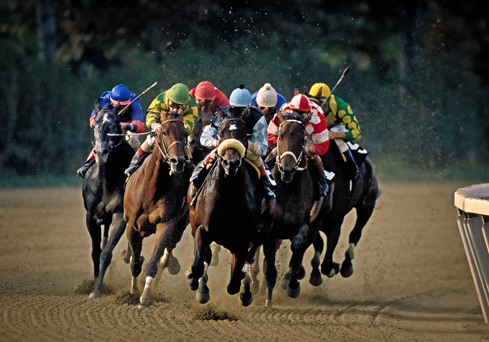  Fall Championship Series - Belmont Park 