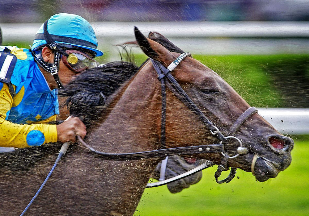  Into the Far Turn-Saratoga 