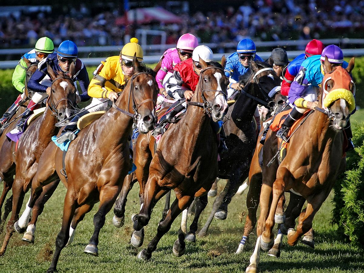  Clubhouse Turn - Saratoga 